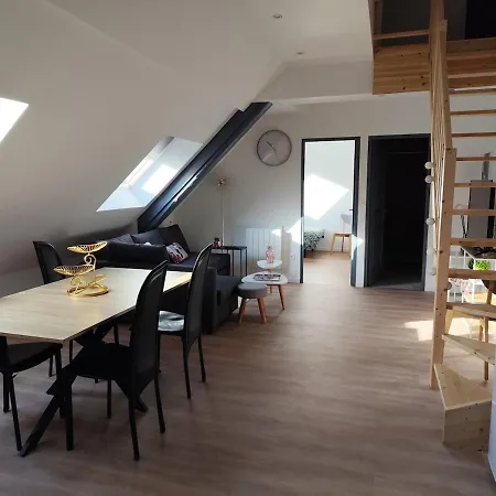 Très Joli F4 Neuf Au Pied Du Château Avec Jardin Rouffach