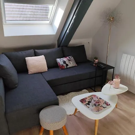 Très Joli F4 Neuf Au Pied Du Château Avec Jardin Apartamento *