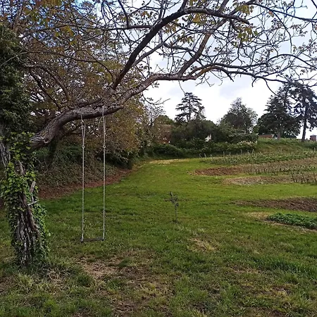 Apartamento Très Joli F4 Neuf Au Pied Du Château Avec Jardin *