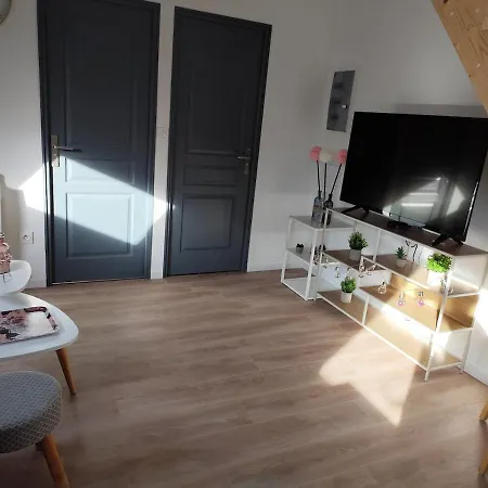 Très Joli F4 Neuf Au Pied Du Château Avec Jardin Apartamento