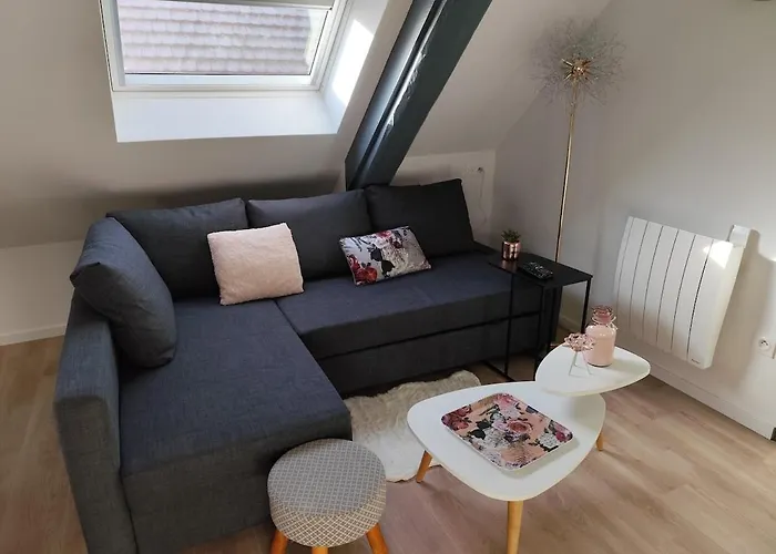 Au Pied Du Chateau D'isenbourg, Tres Beau F4 Neuf Avec Jardin Prive! Apartment *