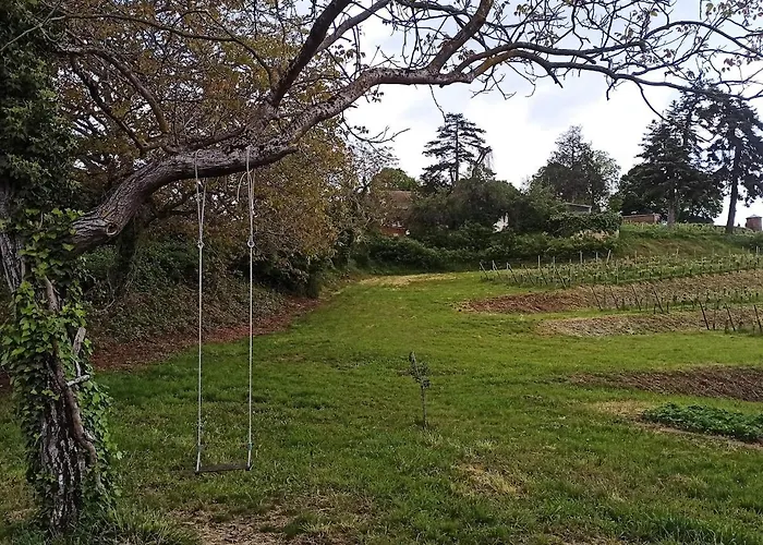 Apartment Au Pied Du Chateau D'isenbourg, Tres Beau F4 Neuf Avec Jardin Prive! *