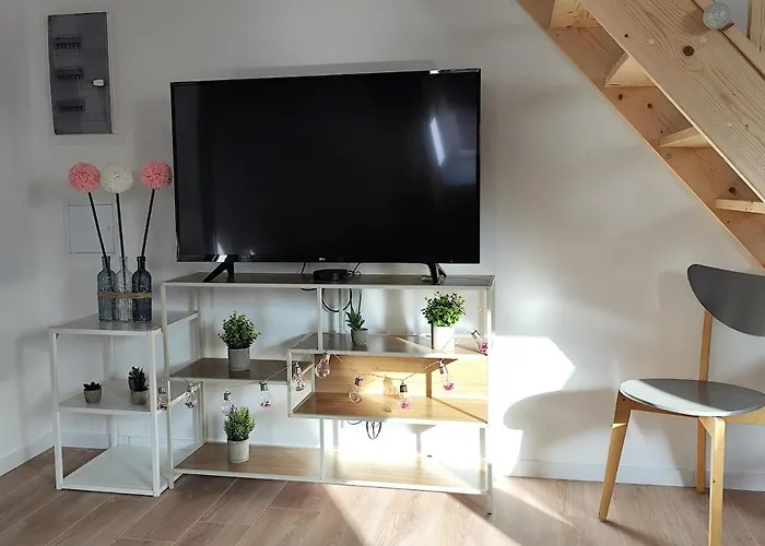 Apartment Au Pied Du Chateau D'isenbourg, Tres Beau F4 Neuf Avec Jardin Prive! Rouffach
